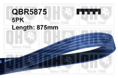 Ремень клиновый 5PK#875 QUINTON HAZELL QBR5875