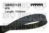 Фото Ремінь генератора Skoda Octavia/VW Golf 1.6-2.0/1.9TDI 97-13/Passat B6/B7 1.8-2.0TSI/T5 1.9TDI 03-15 QUINTON HAZELL (QBR61125) зображення 1
