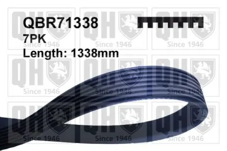 Ремень клиновый QUINTON HAZELL QBR71338 Купить в Украине