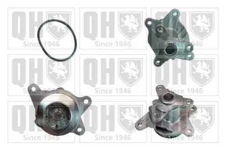 Помпа води Renault Trafic/Scenic/Megane/Opel Vivaro/Nissan Qashqai/X-Trail 1.6dCi 14 QUINTON HAZELL QCP3829 Купити в Україні