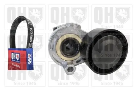 Комплект ременя генератора Renault Clio/Kangoo/Megane/Scenic 1.5dCi 01- (6PK1198) QUINTON HAZELL QDK89 Купити в Україні