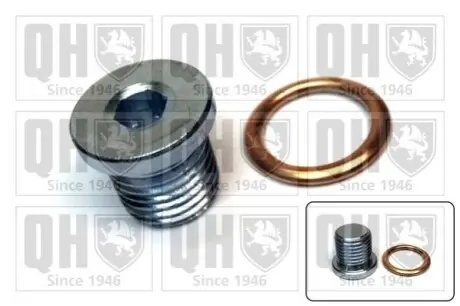 Болт зливу оливи VW T5 2.0 TSI 11-15 (M14x1.50x12) QUINTON HAZELL QOC1017 Купити в Україні