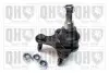 Фото Опора кульова (передня/снизу/L) VW Caddy 20-/Ford Tourneo Connect 22 QUINTON HAZELL (QSJ3882S) зображення 1