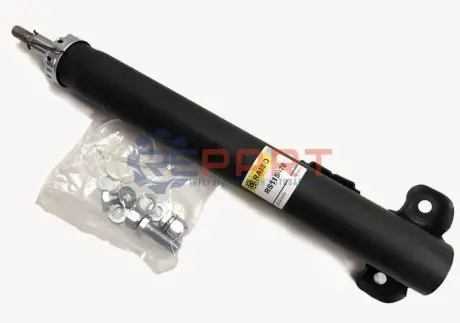 Фото Амортизатори RAISO (RS115070) зображення 1