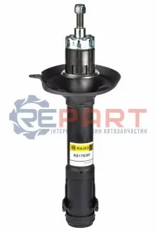 Амортизатори RAISO RS170381 Купити в Україні