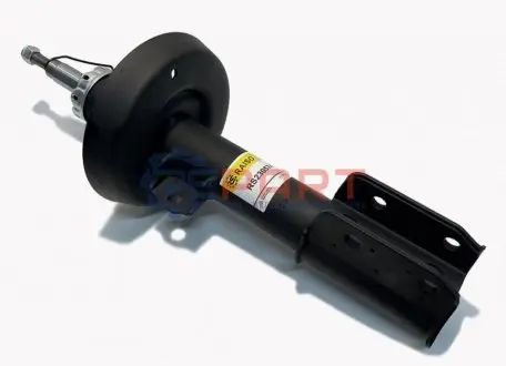 Амортизатори RAISO RS230574 Купити в Україні