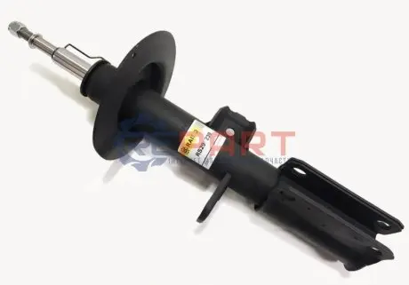 Фото Амортизатор передній пр. BMW X5 E53 00-06 3.0-4.6 (газ.) RAISO (RS290239) зображення 1