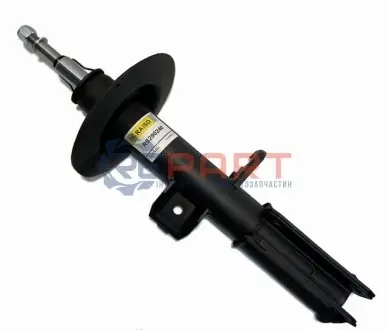 Фото Амортизатор передній лів. BMW X5 E53 00-06 3.0-4.6 (газ.) RAISO (RS290240) зображення 1