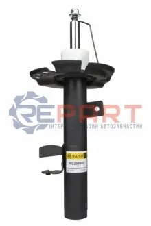 Фото Амортизатори RAISO (RS298942) зображення 1