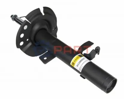 Фото Амортизатори RAISO (RS298959) зображення 1