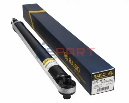 Амортизатори RAISO RS313419 Купити в Україні