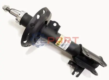 Амортизатори RAISO RS313480 Купити в Україні