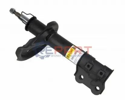 Фото Амортизатор передній пр. KIA Ceed 06- (газ.) RAISO (RS313550) зображення 1