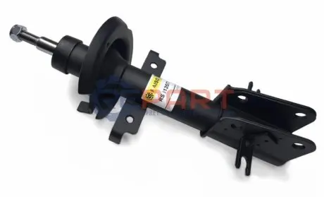 Фото Амортизатор передній Laguna 01- (масл.) RAISO (RS313577) зображення 1