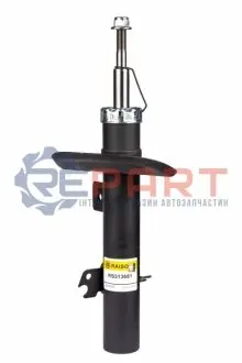 Фото Амортизатор передній Peugeot 207 06- (51mm) Пр. (газ.) RAISO (RS313681) зображення 1