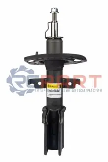 Амортизатори RAISO RS313802 Купити в Україні