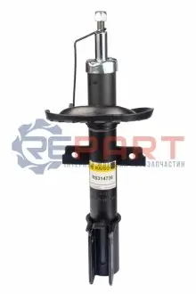 Фото Амортизатор передній Clio III/Modus 05- (газ) RAISO (RS314736) зображення 1