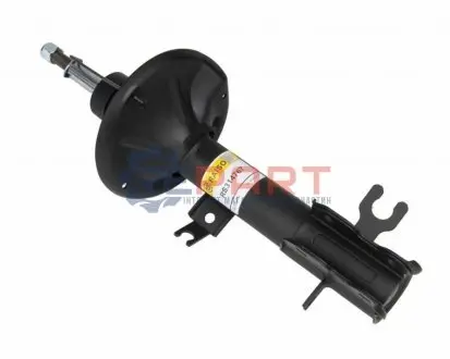 Амортизатори RAISO RS314767 Купити в Україні