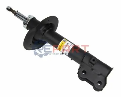 Фото Амортизатор передній лів. Hyundai IX35/Tucson/Sportage 09- (газ.) RAISO (RS315950) зображення 1