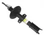 Фото Амортизатор передній Duster (4x4) 10 RAISO (RS316289) зображення 1
