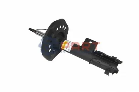 Амортизатори RAISO RS316876 Купити в Україні