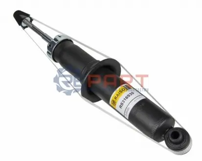 Фото Амортизатор задній Dodge Journey, Fiat Feemont 08- RAISO (RS316939) зображення 1