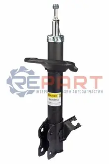 Фото 1 — Амортизатор передній пр. Nissan X-Trail (T30) 01-07 (газ.) RAISO (RS317113) Фото Амортизатор передній пр. Nissan X-Trail (T30) 01-07 (газ.) RAISO (RS317113) зображення 1