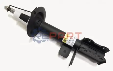 Фото Амортизатори RAISO (RS317140) зображення 1