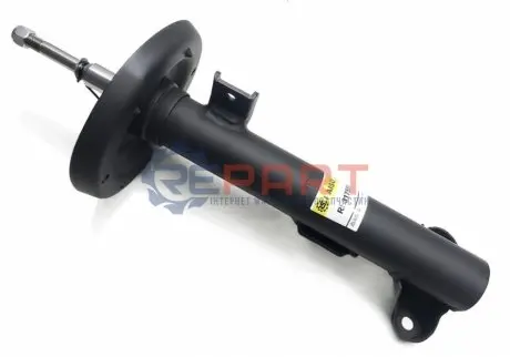 Амортизатори RAISO RS317559 Купити в Україні