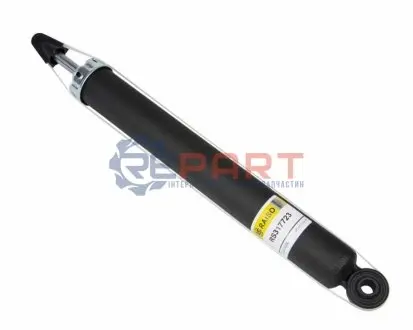 Фото Амортизатори RAISO (RS317723) зображення 1