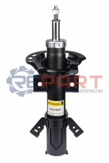 Фото Амортизатори RAISO (RS319551) зображення 1