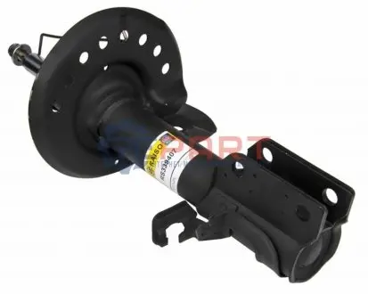 Амортизатори RAISO RS339407 Купити в Україні