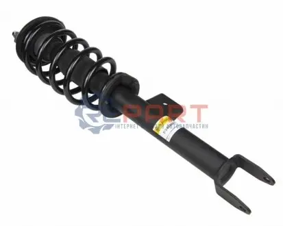 Амортизато передній пр. Tesla Model 3 RWD (комплект з пружиною і опорою+захисний к-т) (газ.) RAISO RS436901 Купити в Україні