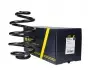 Фото Пружина задня Omega A/Omega B 86-03 (273*15*155) RAISO (SR017TP) зображення 1