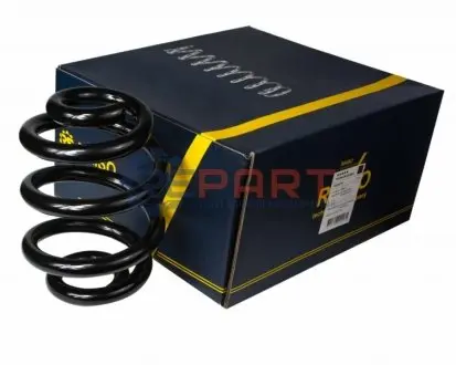 Пружина задняя T5 03- (244*20,3*165) RAISO SR047TP Купить в Украине