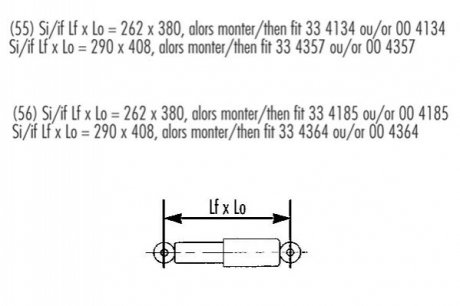 Амортизатор OIL задній ЦІНА за 1 шт.УПАК.по 2 шт.(лівий+правий) RECORD 004357 (фото 1)