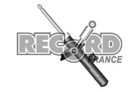 Амортизатор RECORD 104182 Купити в Україні