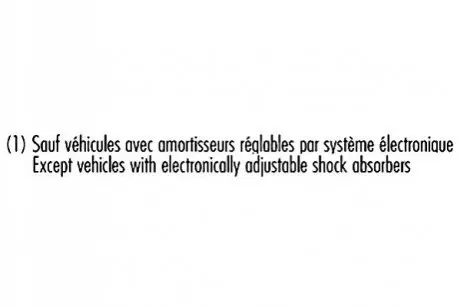 Фото Амортизатор масляний заднiй RECORD (104448) зображення 1