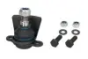Шарова опора Лів/Прав (нижн передн) (діаметр конуса 18,6mm) FORD GALAXY I, GALAXY MK I SEAT ALHAMBRA VW SHARAN 1.8-2.8 03.95-03.10 REINHOCH (RH034017) зображення 1