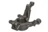 Кулак поворотний (цапфа) Renault Clio III 05-14 (R) REINHOCH (RH082022) зображення 1
