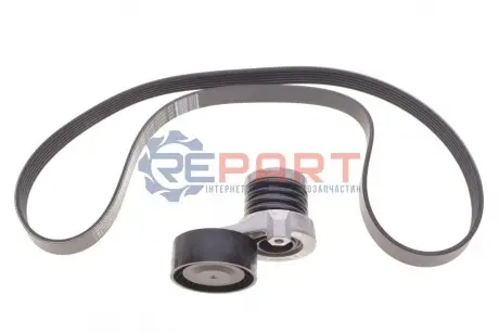 Комплект пасу поліклинового RENAULT 117202495R Купити в Україні