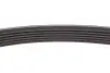 Фото Комплект пасу поліклинового RENAULT (117202495R) зображення 6