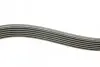 Фото Комплект пасу поліклинового 6 PK 1200 ролик 7701 RENAULT (117203694R) зображення 2