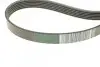 Фото Комплект пасу поліклинового 6 PK 1200 ролик 7701 RENAULT (117203694R) зображення 3