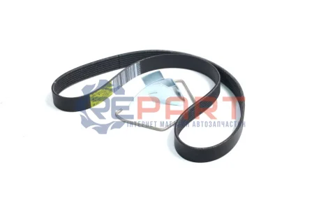 Поліклиновий ремінь (7PK1051, з комплектом для кріплення) DACIA DOKKER, DUSTER, LODGY NISSAN CUBE, JUKE, MICRA C+C III, MICRA III, NOTE, NV200, NV200 / EVALIA, QASHQAI I 1.6/1.6ALK/1.6LPG 05.05 RENAULT 117203866R Купити в Україні