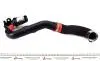 Патрубок інтеркулера Renault Master III/Opel Movano B 2.3dCi 10- (короткий) RENAULT (144600828R) зображення 3