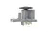 Фото Помпа води Renault Kangoo/MB Citan (W415)/Nissan Qashqai/Juke 0.9-1.2-1.4TCe/1.6 09 RENAULT (210108030R) зображення 2