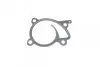 Фото Помпа води Renault Kangoo/MB Citan (W415)/Nissan Qashqai/Juke 0.9-1.2-1.4TCe/1.6 09 RENAULT (210108030R) зображення 5