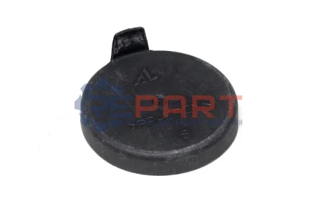 Втулка DACIA DUSTER, LOGAN II, SANDERO II CAPTUR I, CLIO IV, FLUENCE, MEGANE III, SCENIC III 0.9-Electric 11.08 RENAULT 260290441R Купити в Україні