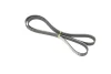 Фото Ремень поликлиновый 6PK1750 RENAULT (77 00 101 261) изображение 1